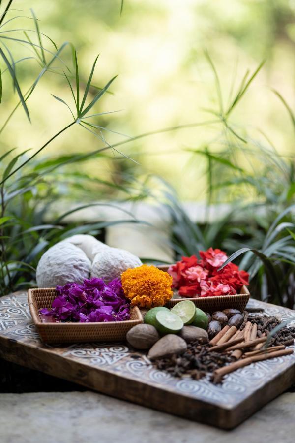 Hotel Vije Boutique & Ubud